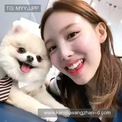 梅鹃仪